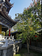 心中住着一个古镇梦，叫江南水乡。 ​​​​
