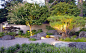 美国旧金山阿瑟顿日式花园景观外局部实景图