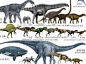 40多种大型动物恐龙的种类和形态介绍