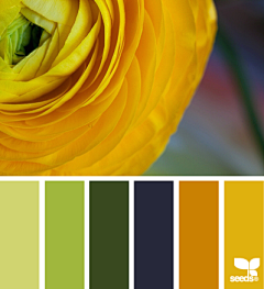独立设计师闫茂进采集到设计种子--对于色彩的热爱