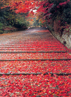 傾抝緣栤結采集到风景摄影