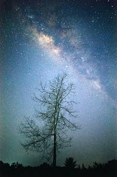 老猫.X采集到日月星辰宇宙