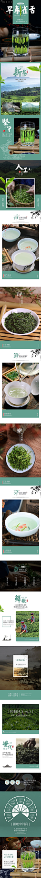 茶叶详情页_北邦视觉设计-