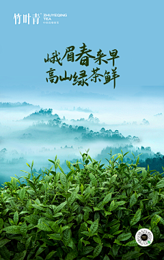 厦门设计师孙杰采集到茶海报