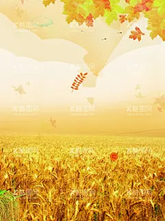 小麦穗金黄秋意田园风光  - 源文件下载【酷图网】小麦穗,金黄,秋意,田园风光,丰收海报素材