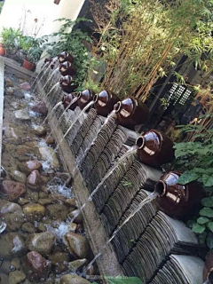 咪狗狗采集到景观