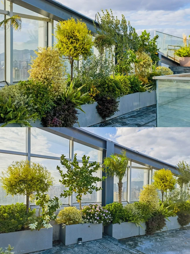 楼顶花箱植物-花瓣网