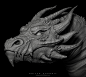 aditya-purohit — Dragon : Hey Guys !
Sharing my free time ZBrush work.
Hope so you liked it ! 