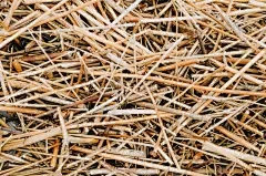 干的,草,稻草,纹理,黄色,背景,草垛,干草卷,大农场,干草