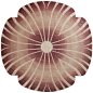 Deirdre Dyson SEA SHELL hand knotted wool and silk rug