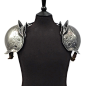 PALADIN ARMOUR SET(圣骑士）套装-肩甲 (2)