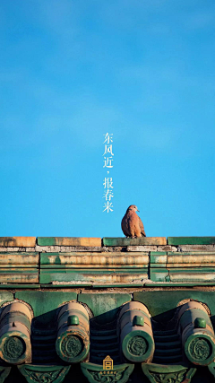 花花四界采集到国潮