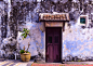 Green Plants Beside Purple Wooden Door