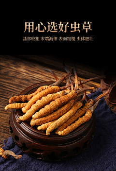 遗莣yueyue采集到虫草