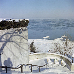 AllinWang采集到影像-Vivian Maier-Color