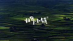 福L摩斯采集到vi