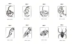课题来源:随着经济与科技的高速发展，现代社会中已经暴露出许许多多有关于道德、健康、文化、创造力以及生态相关的社会问题，如“猥亵儿童”、“校园暴力”、“山寨盗版”、“疯狂海购”、“空气污染”等等，于是便针对就存在的这五大类社会问题进行了个别案例的收集和罗列，再进行了分析以及总结，从而将这些案例与事件分别依次归类。为了在某种意义上传达出，此课题对这些社会问题的种种态度以及看法，达到在一定力度上得到广泛传播和解决措施以及预防的目的，便提取了社会现实中所存在的“五毒四害”的视觉代表元素，分别对应的是“蝎子、蟾蜍、