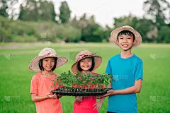 在农村有机菜园里，孩子们手持辣椒或辣椒蔬菜播种