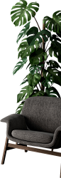 沙发 植物 叶子 png