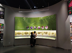 ykloo采集到展厅