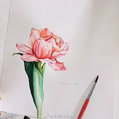 热门 - 热门微博 - 微博