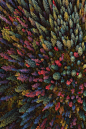 Planet Earth