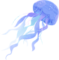 Ocean Animal Dolphin