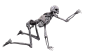 Skeleton (15) by wolverine041269