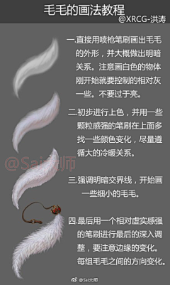 川话豇豆采集到毛毛参考