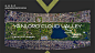 7255519181209075728-0626-VI-14