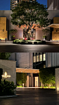 Four seasons hotel 曼谷四季酒店 - 小红书
