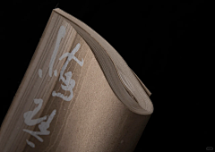 N30LEO采集到Book