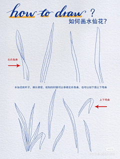 醪糟加蛋采集到花卉