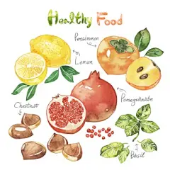 水彩手绘石榴栗子柿子柠檬营养水果插画