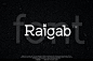 Raigab北欧现代简约时尚品牌logo杂志画册排版封面无衬线英文字体
