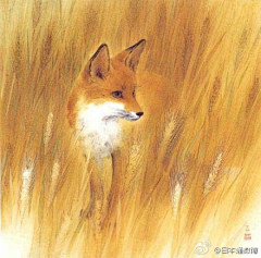 血族之吻采集到动物
