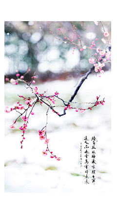 养只eyu采集到壁纸