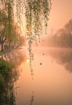 微聚在线采集到风景