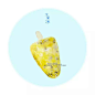 手绘夏冰之水果冰系列