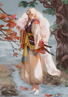 DD-采集到犬夜叉