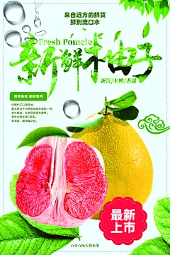 简约柚子素材宣传单折页 海报
