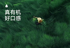 劳模小鸡采集到电商