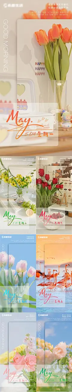 【南门网】海报 早安 励志 问好 问候 花卉 小清新 系列