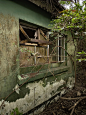 20.密林绿色小屋 - 小红书