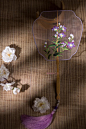 【小团专拍】原创手绘花卉·人用mini手工团扇宫扇·出国送礼摆件-淘宝网