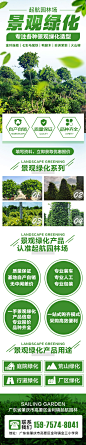景观绿化落地页