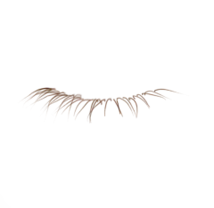 证件照素材五官眉毛素材\五官素材\3-睫毛