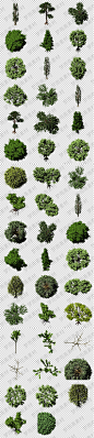 城市园林园艺景观绿色树木png格式透明底免抠元素图片设计素材-淘宝网