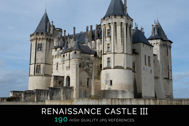 Renaissance Castle I...