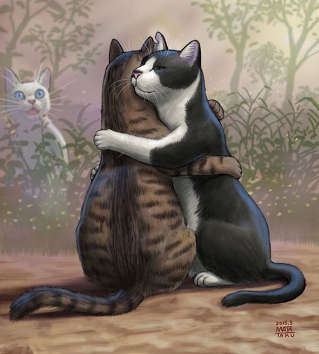 拥抱……搞怪的猫咪 ~ matataku...
